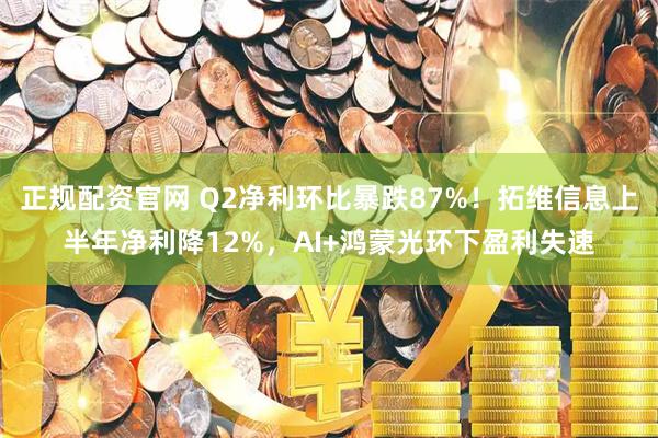 正规配资官网 Q2净利环比暴跌87%！拓维信息上半年净利降12%，AI+鸿蒙光环下盈利失速